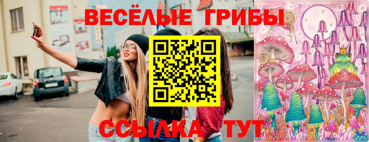 Псилоцибиновые грибы ЛСД Карталы