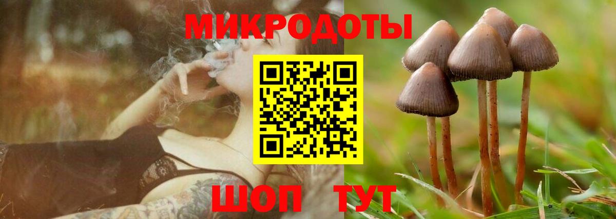 Галлюциногенные грибы Magic Shrooms  купить наркоту  Карталы  Вход с VPN  Псилоцибиновые грибы прущие грибы 